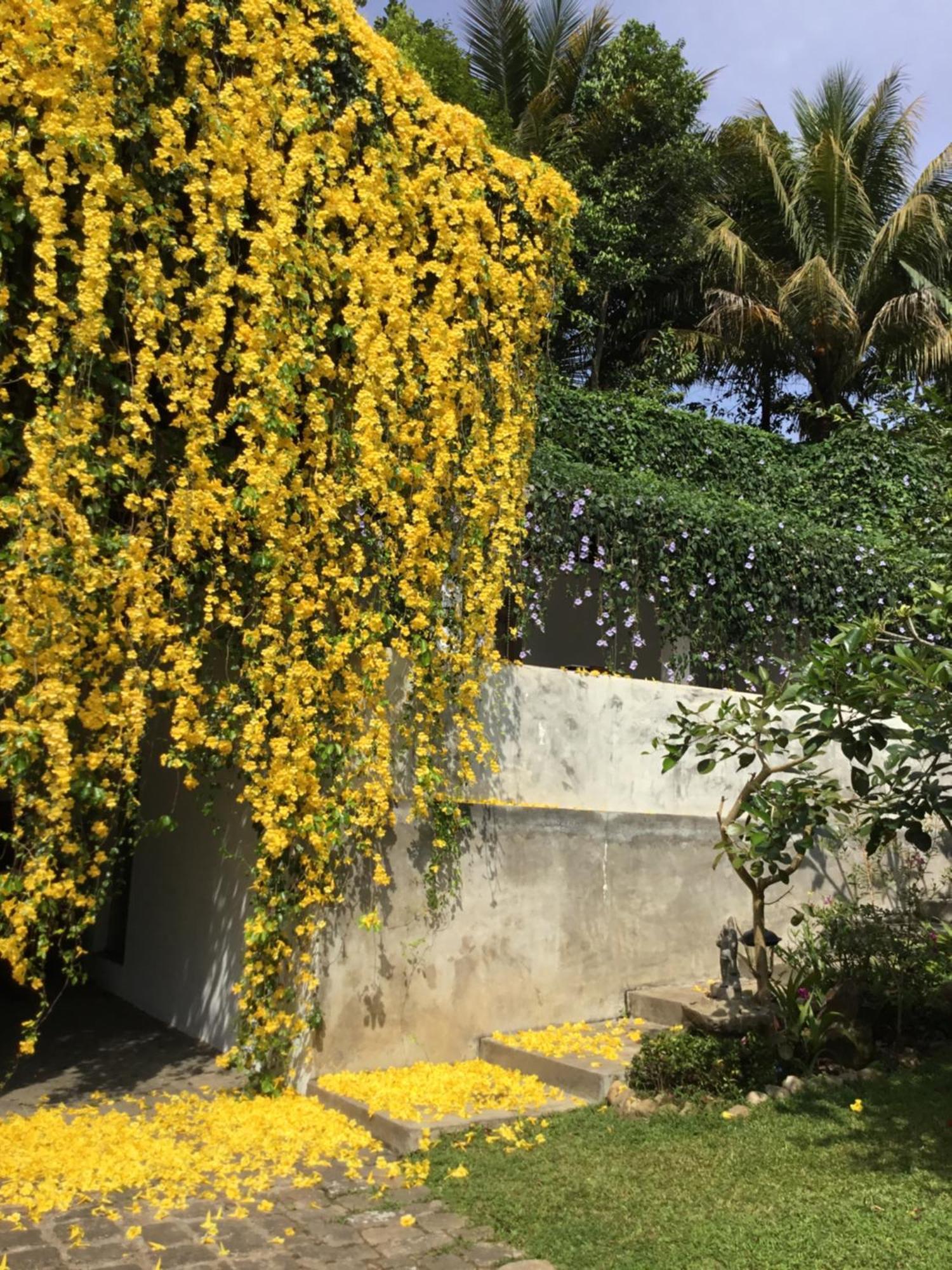 Goddess Kandy Ngoại thất bức ảnh